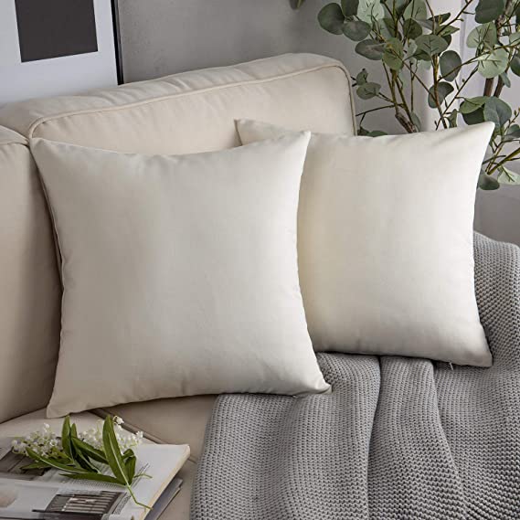 Soft Velvet Pillow Cover (Multiple colors available)